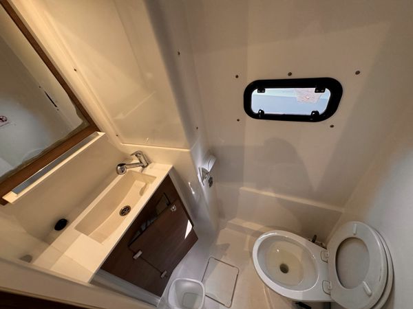 Bali Catspace | Glory Lily