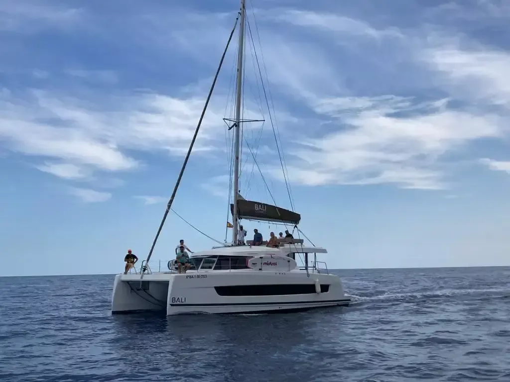 Bali Catspace | Hang Loose