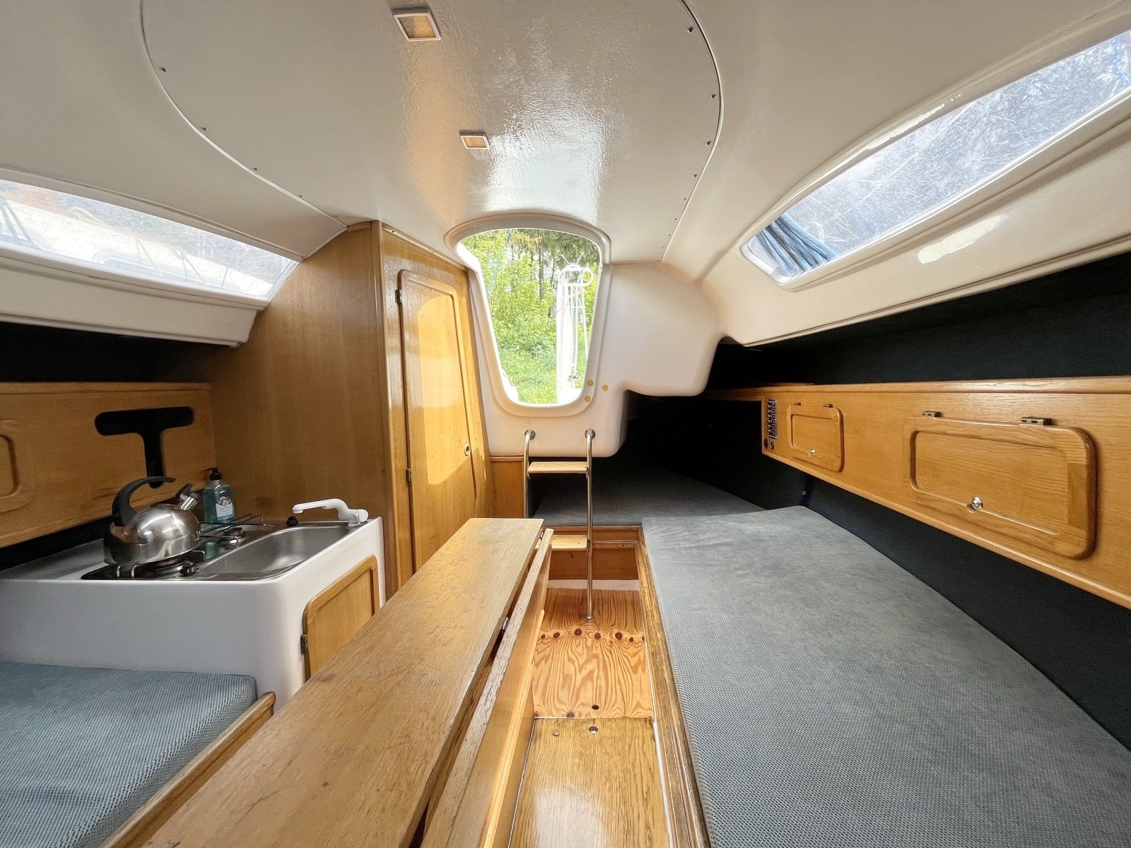 Sasanka 660 | Umbriaga