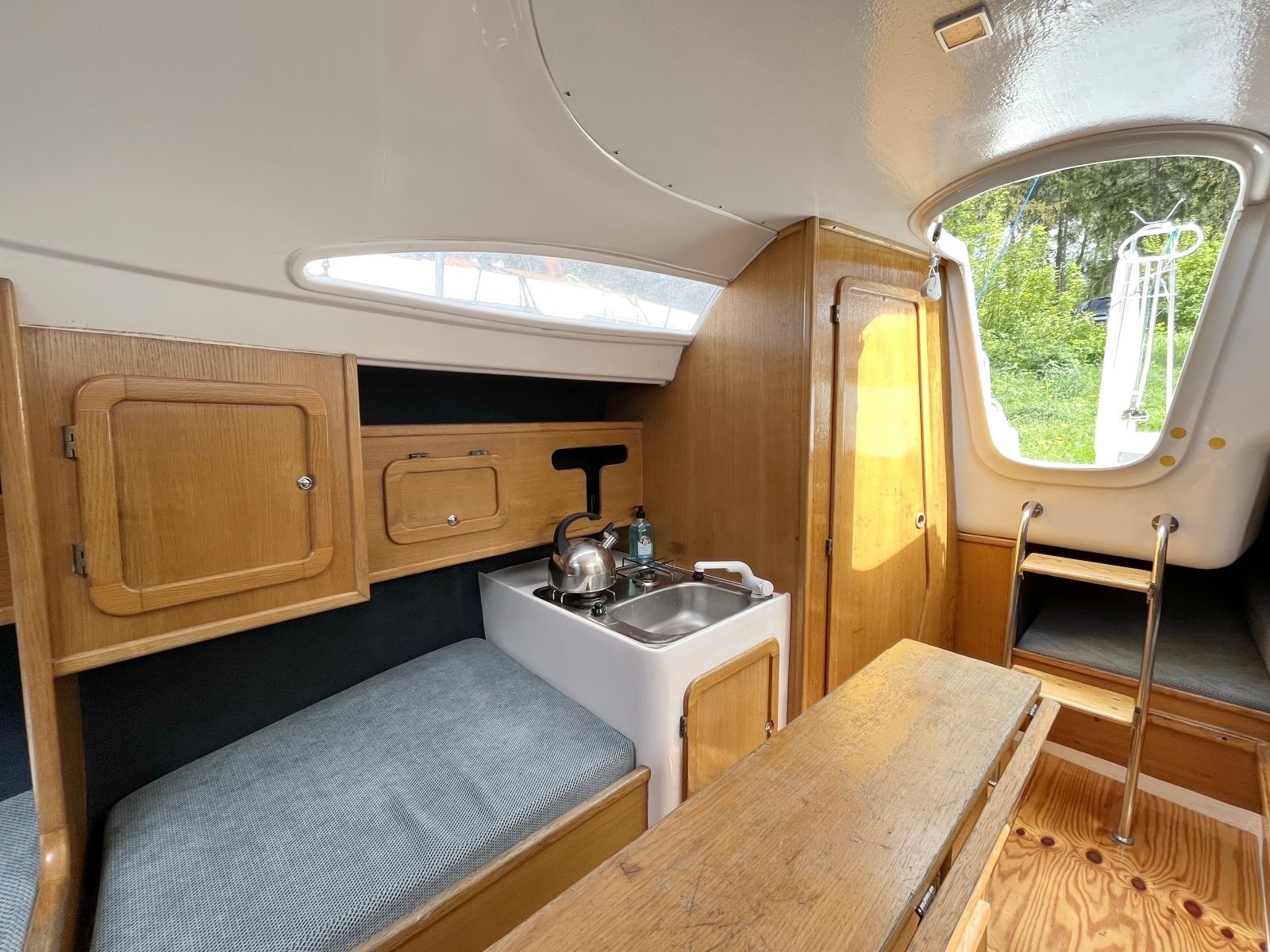 Sasanka 660 | Umbriaga