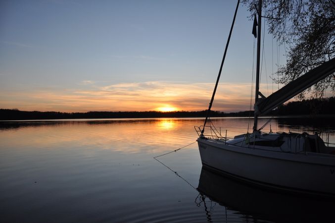 Sasanka 660 | Umbriaga