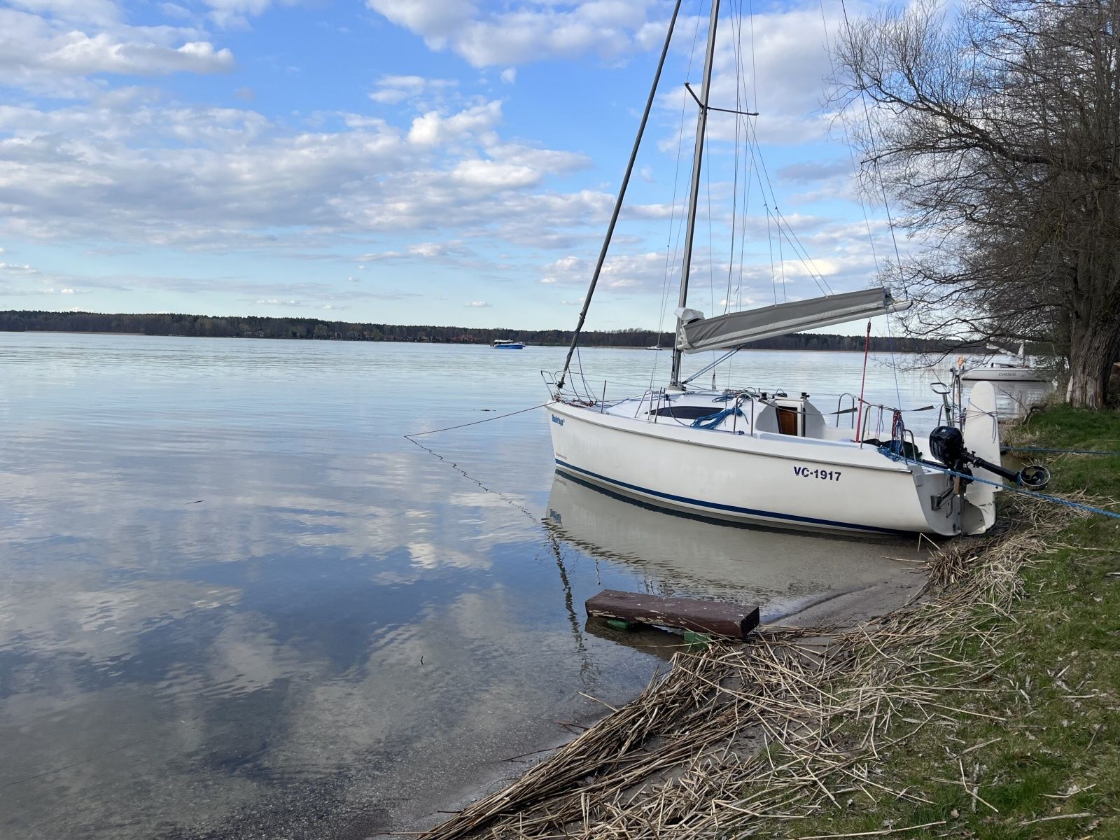 Sasanka 660 | Umbriaga