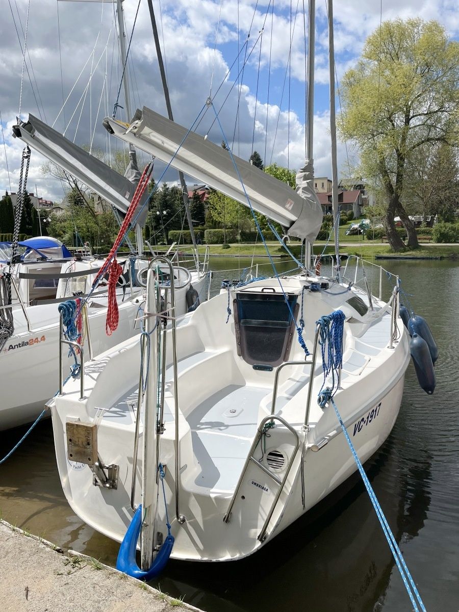 Sasanka 660 | Umbriaga