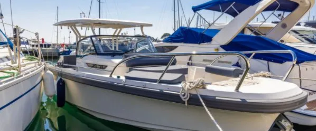 Nimbus T9 | Cinnamon