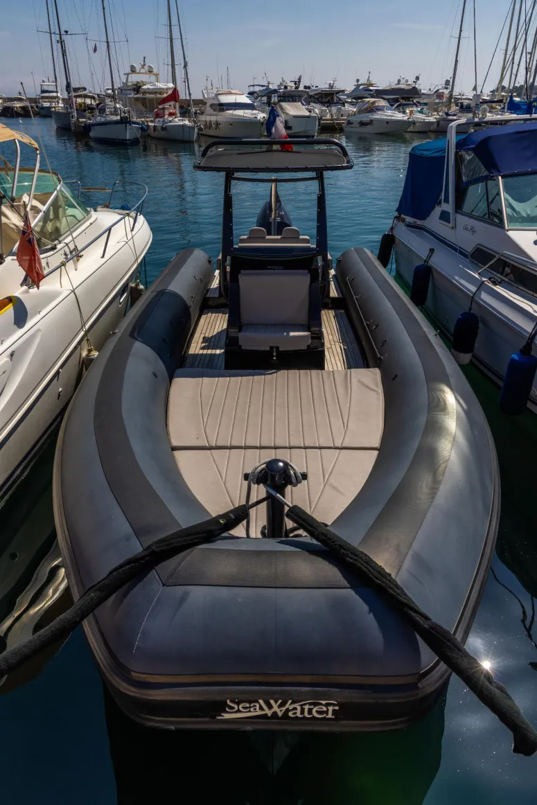 Sea Water Phantom 260 | 2021