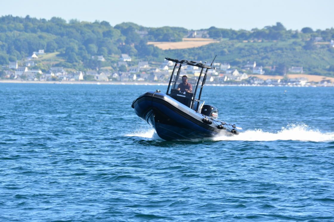 Vanguard 660 | Gargamel