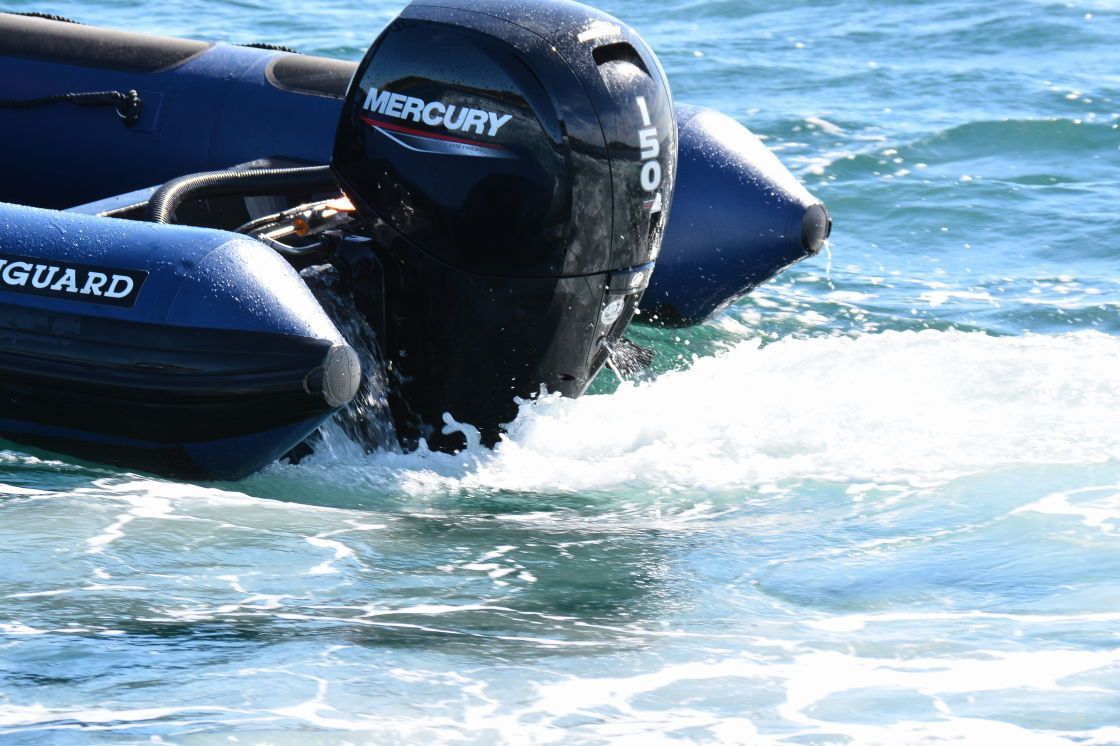 Vanguard 660 | Gargamel