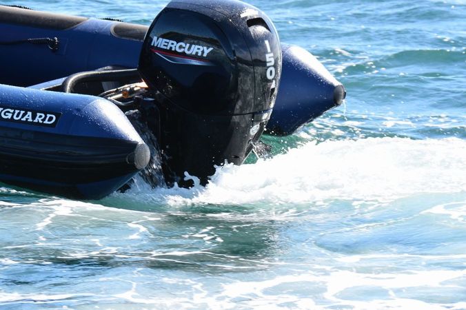 Vanguard 660 | Gargamel