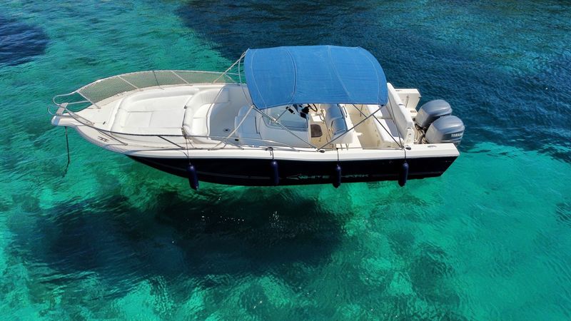 White Shark 285 | Saga 3