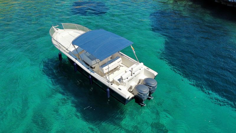 White Shark 285 | Saga 3