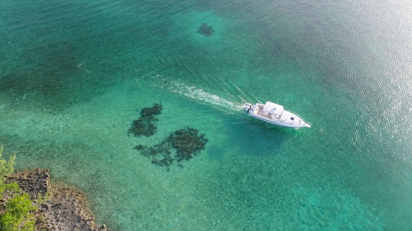 Intrepid 33 | Habour Island