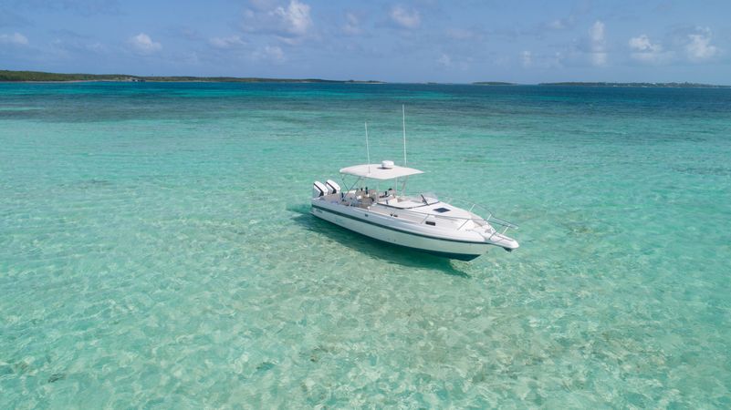 Intrepid 33 | Habour Island