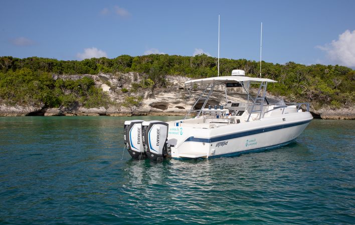 Intrepid 33 | Habour Island