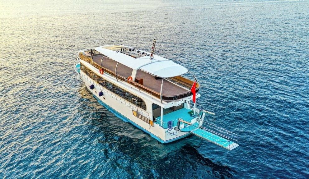 Custom Built 78 | Talia