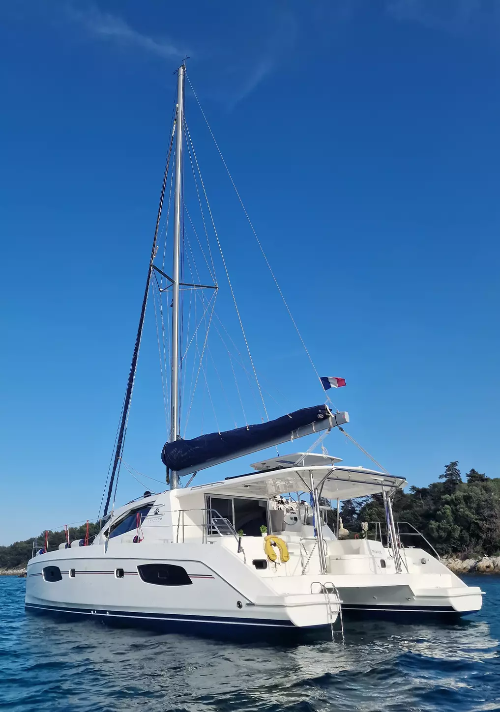 Leopard 44 | Try Jah Love