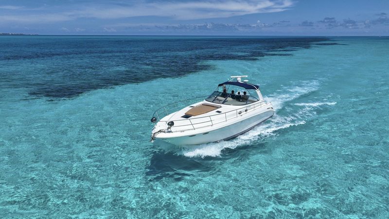 Sea Ray 410 Express | ATM