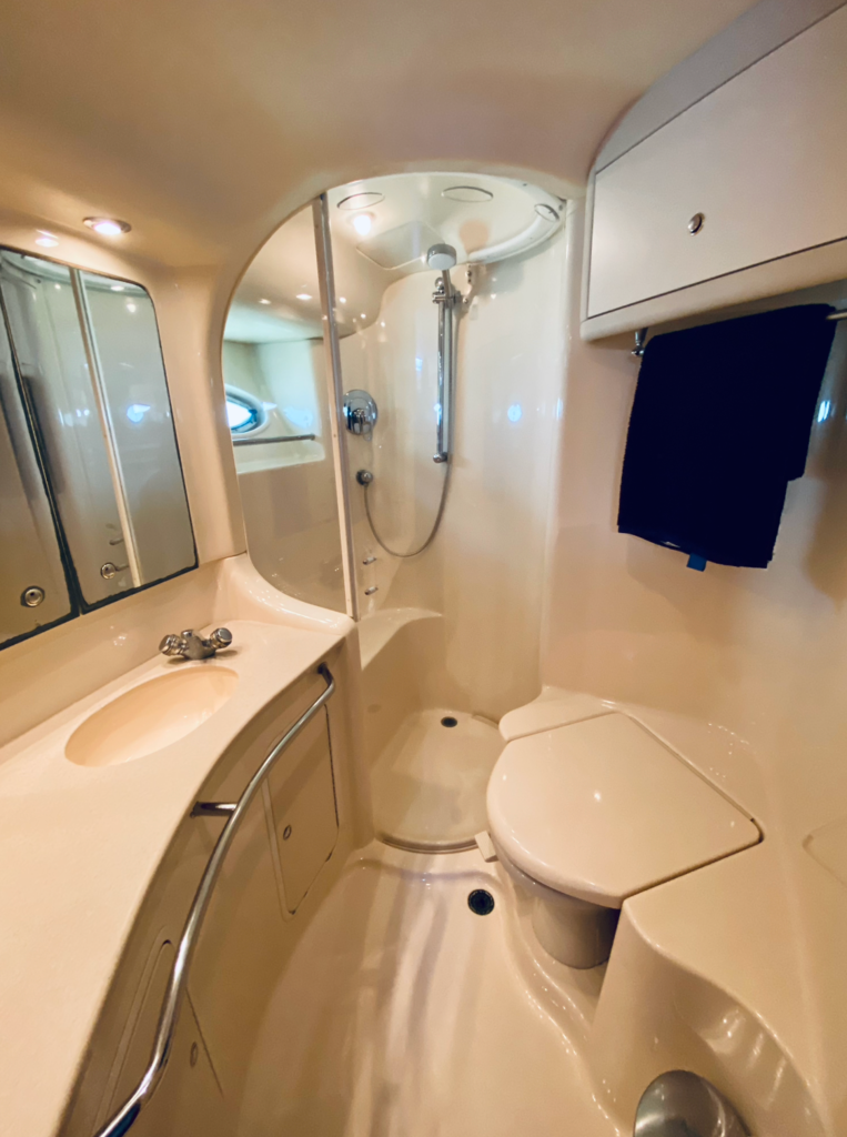 Sea Ray 480 Sedan | Carpe Diem