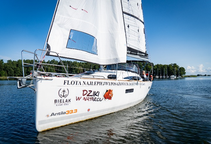 Antila 33.3 | Dziki w Natarciu