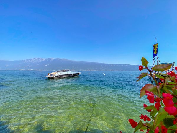 Perfomance 1307 | La Prima