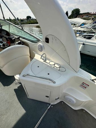 Sea Ray 315 Sundancer | GIO yacht
