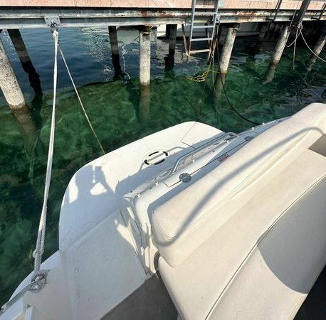 Sea Ray 315 Sundancer | GIO yacht