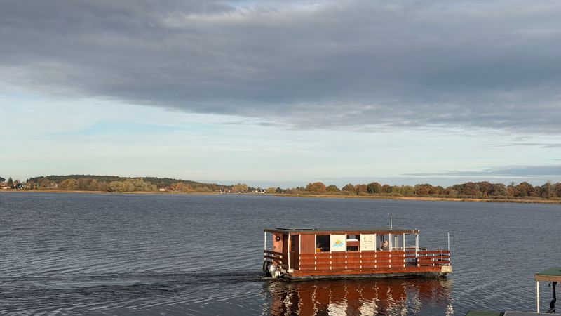 Tom Sawyer TS1000 | Dorle