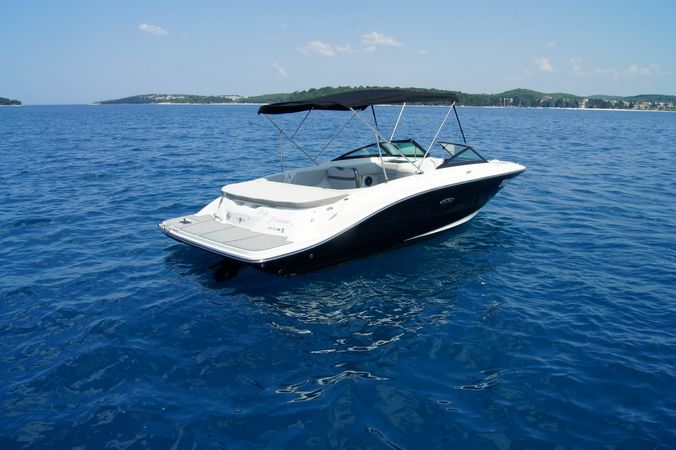 Sea Ray 210 | Black Diamond 1
