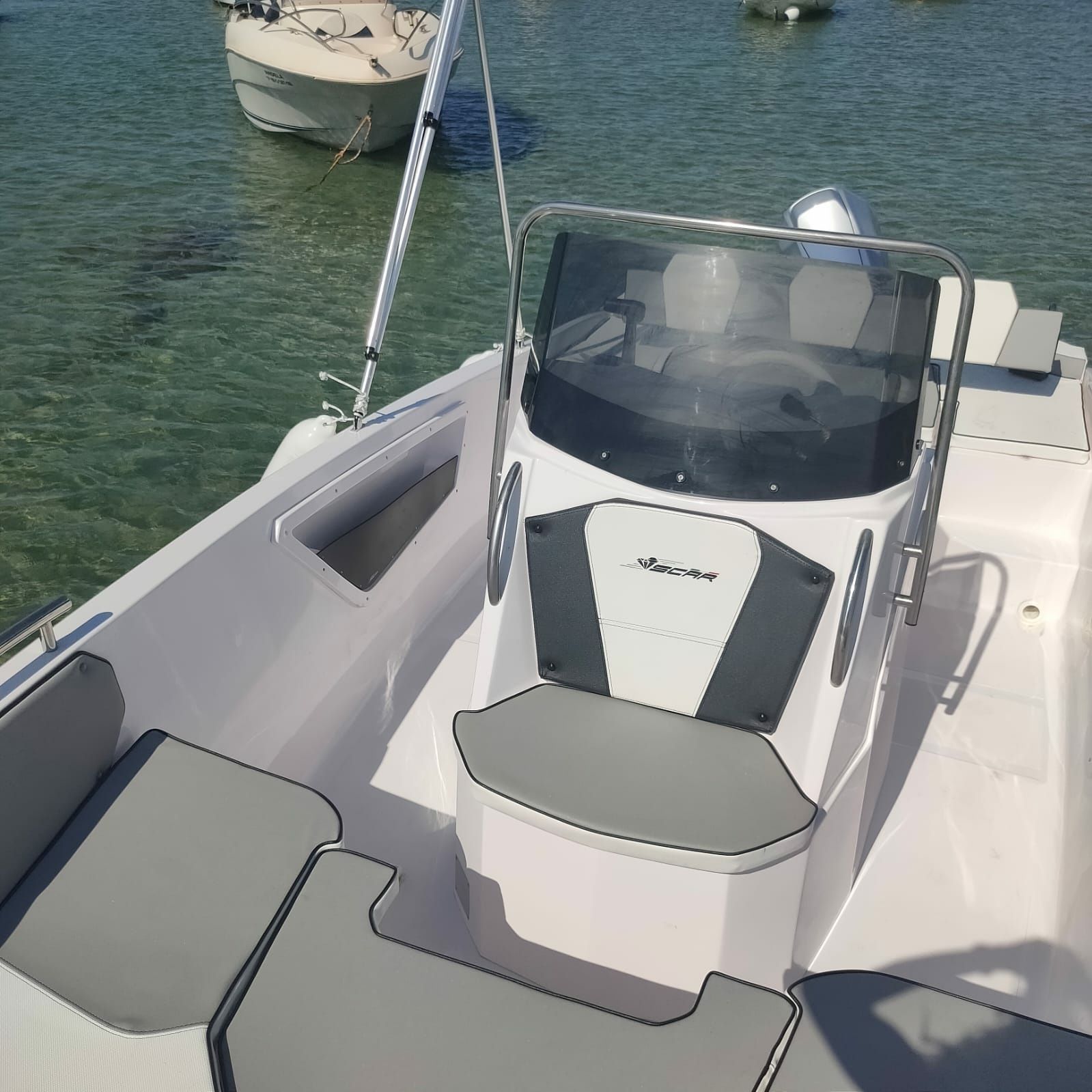 Scar Next 215 | Teddy