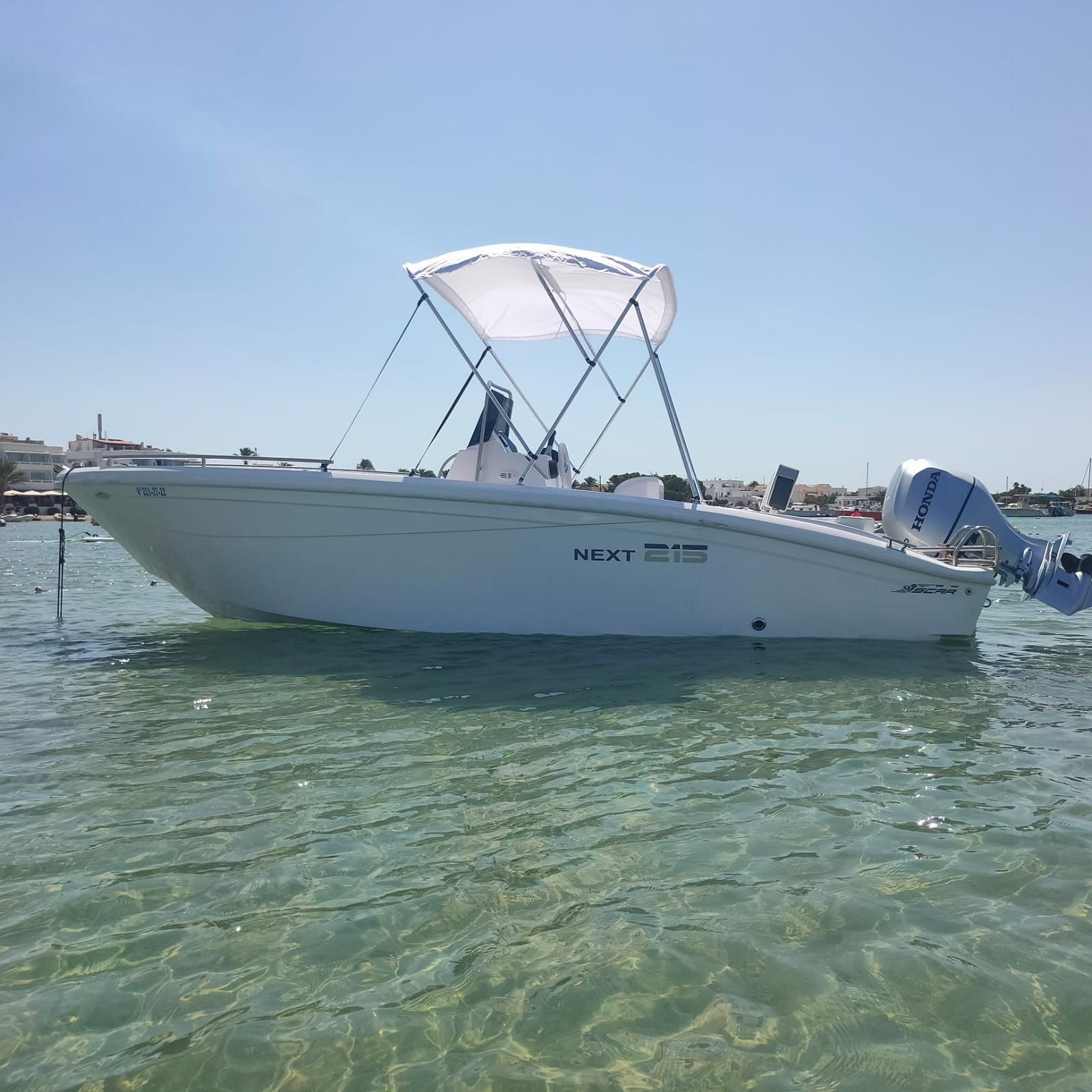 Scar Next 215 | Teddy