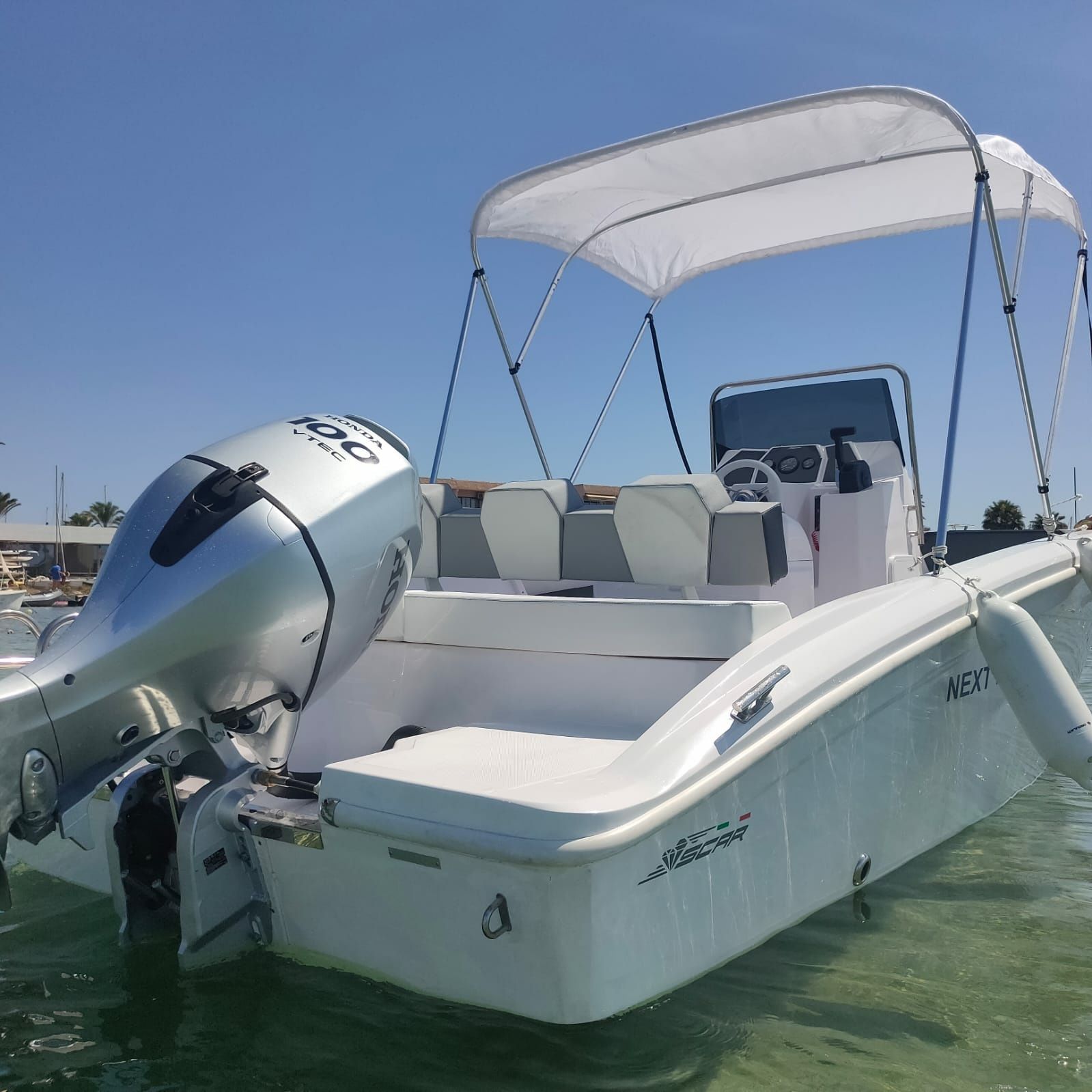 Scar Next 215 | Teddy