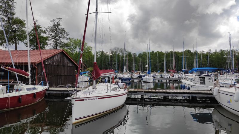 Phobos 24 | My Second Wife