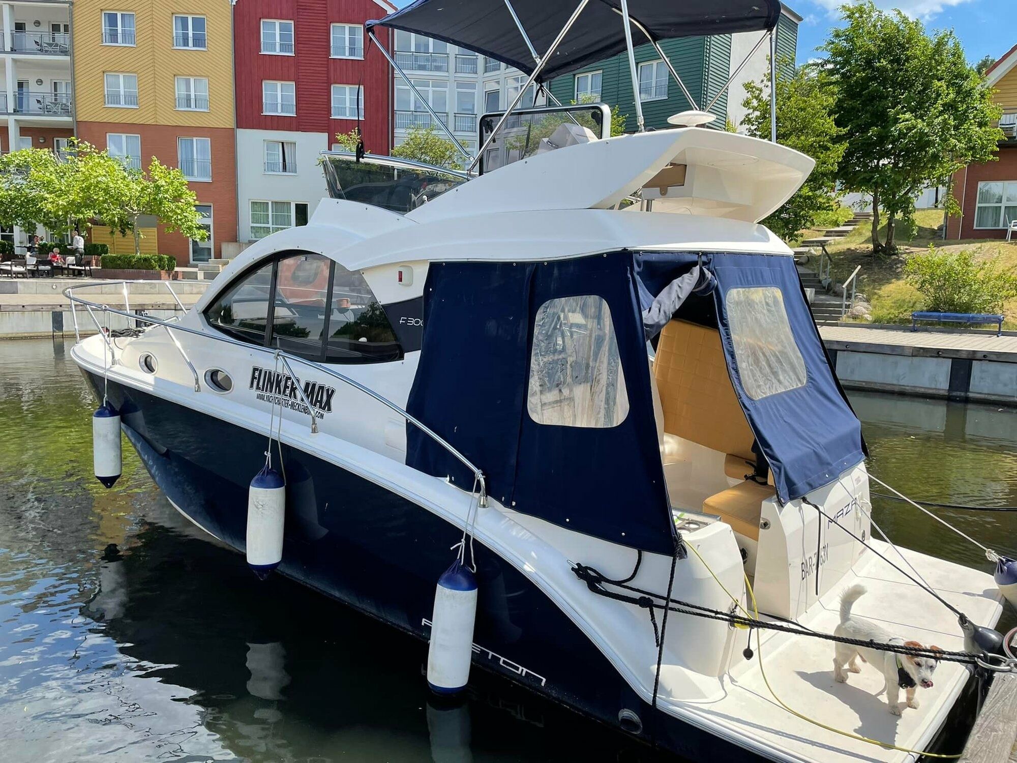 Faeton 300 | Flinker Max