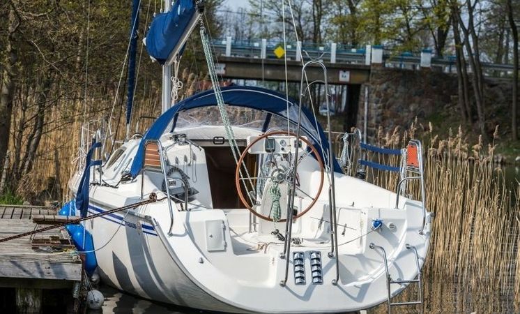 Northman Maxus 33 | Jakub