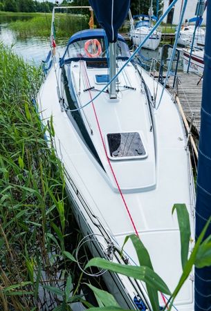 Hornet 29 | Noel