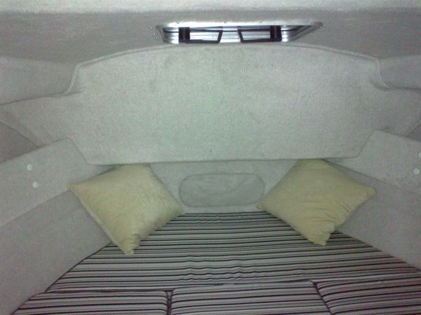 DarekCo Texas 595 | 23