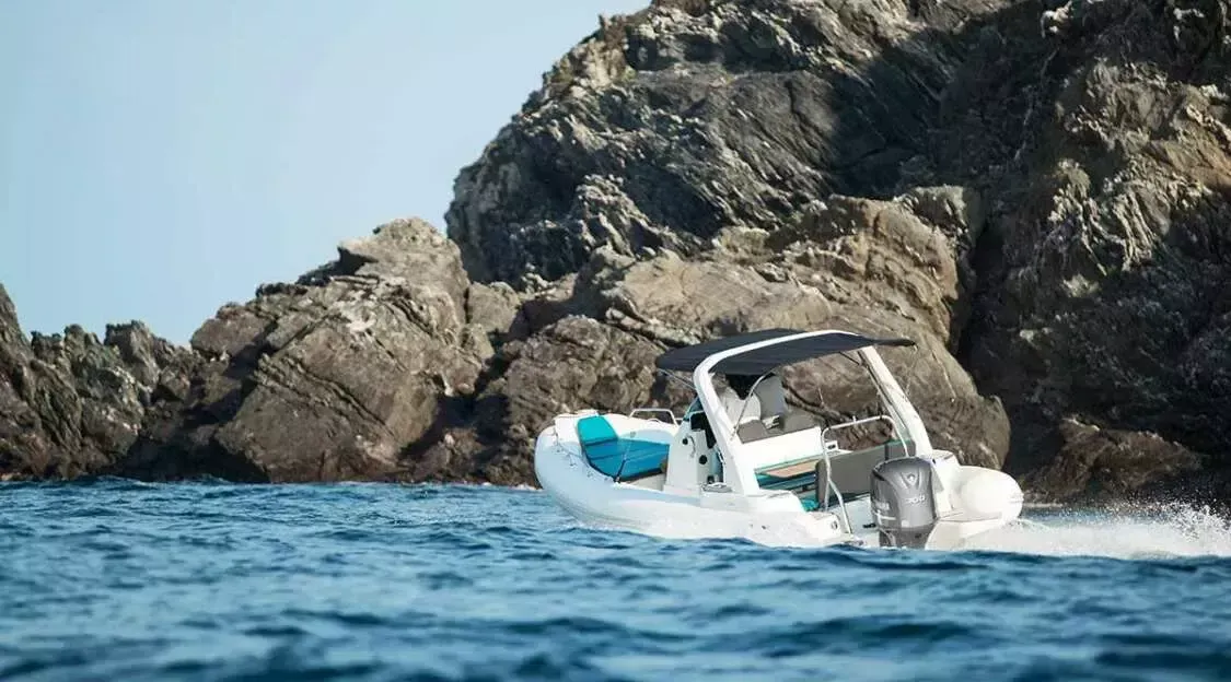 Zodiac Medline 750 | Tout va bien 3