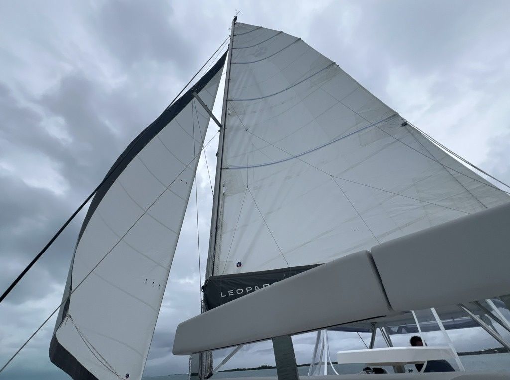 Leopard 42 | Serenity