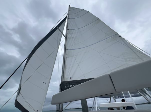 Leopard 42 | Serenity