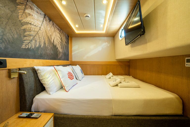 Custom Built 59 | Okay