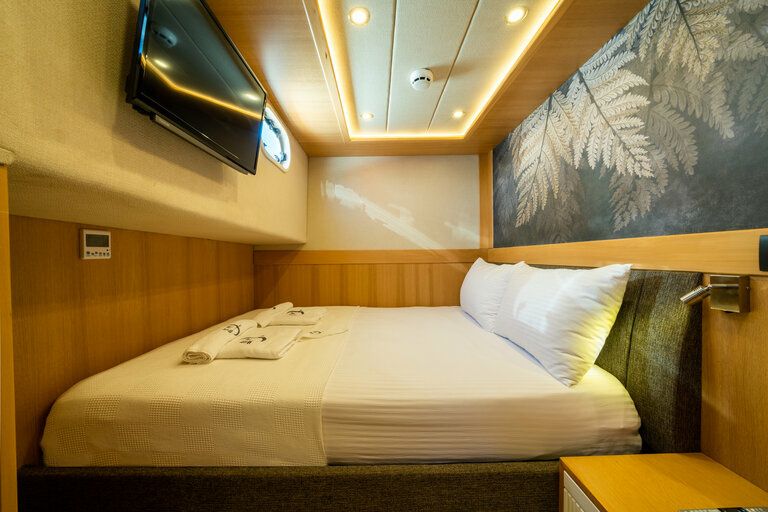 Custom Built 59 | Okay