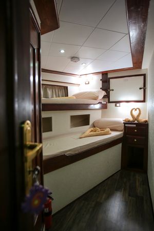 Custom Built 88 | South Moon