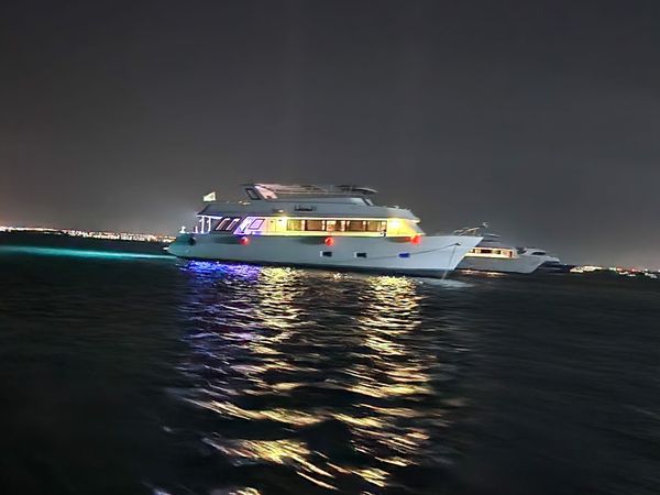 Custom Built 85 | Alesta