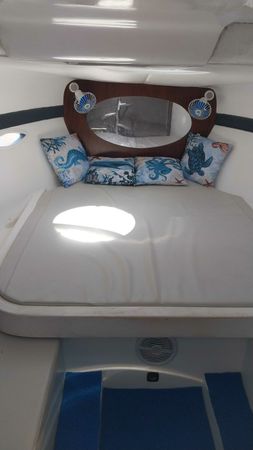 Salpa Laver 23X | Sirius