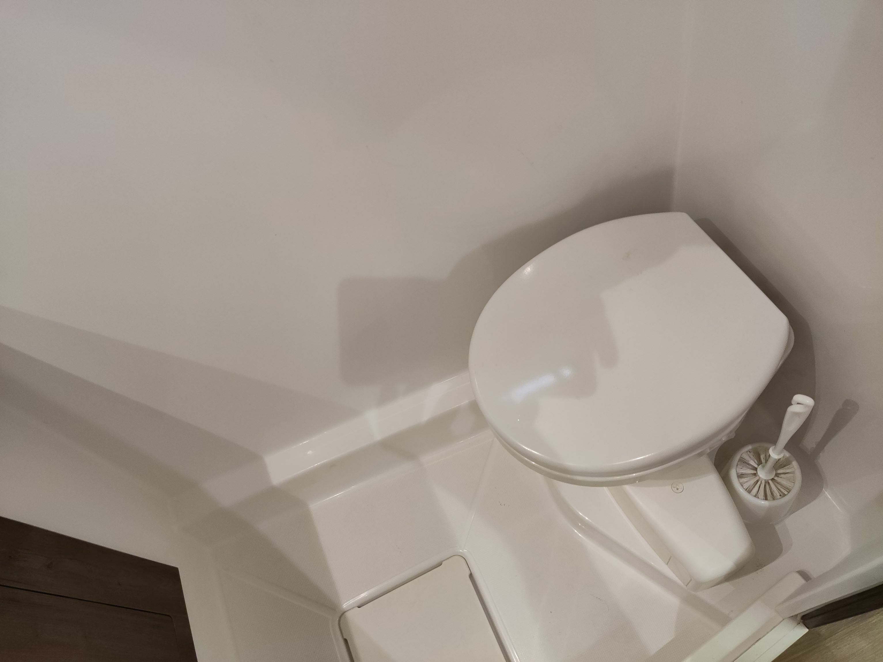 Bali Catspace | Imy Caribbean