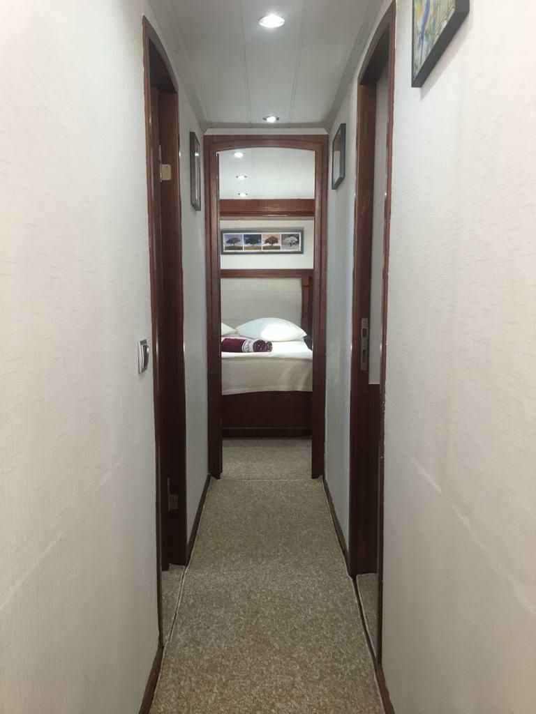 Custom Built 54 | Vega 1