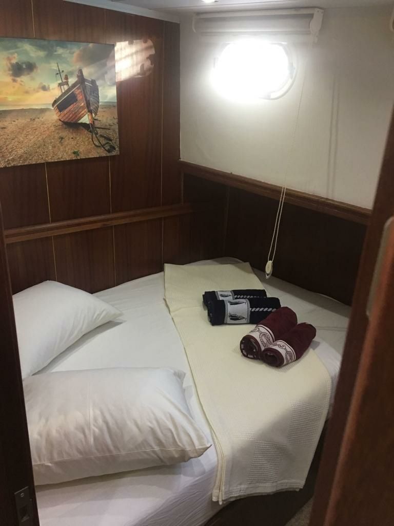 Custom Built 54 | Vega 1