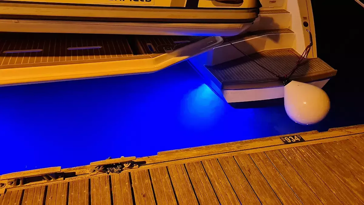 Leopard 50 | Trident