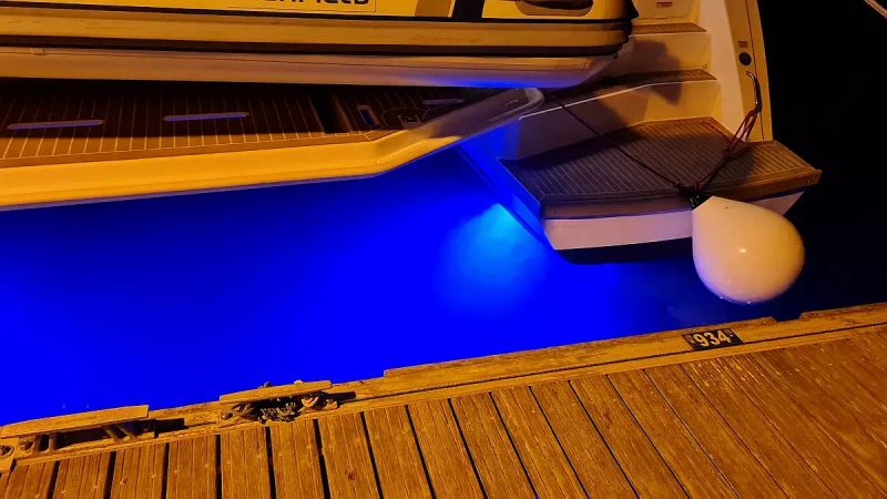 Leopard 50 | Trident