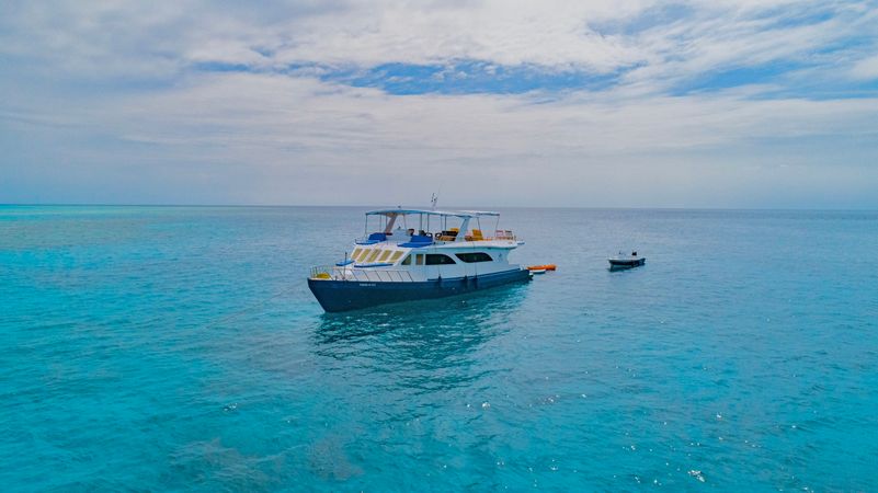 Custom Built 20 | Misraab