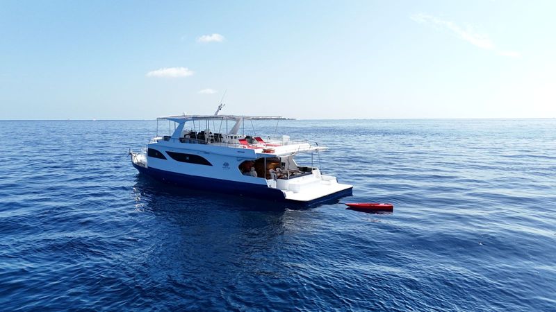 Custom Built 20 | Misraab